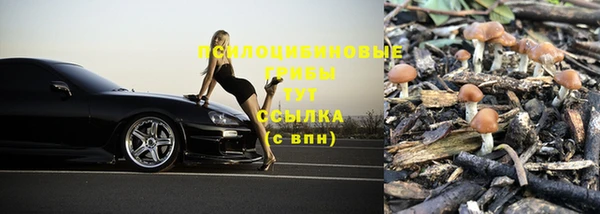 марки lsd Алзамай