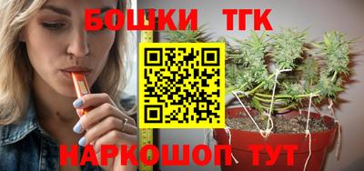 индика Канаш