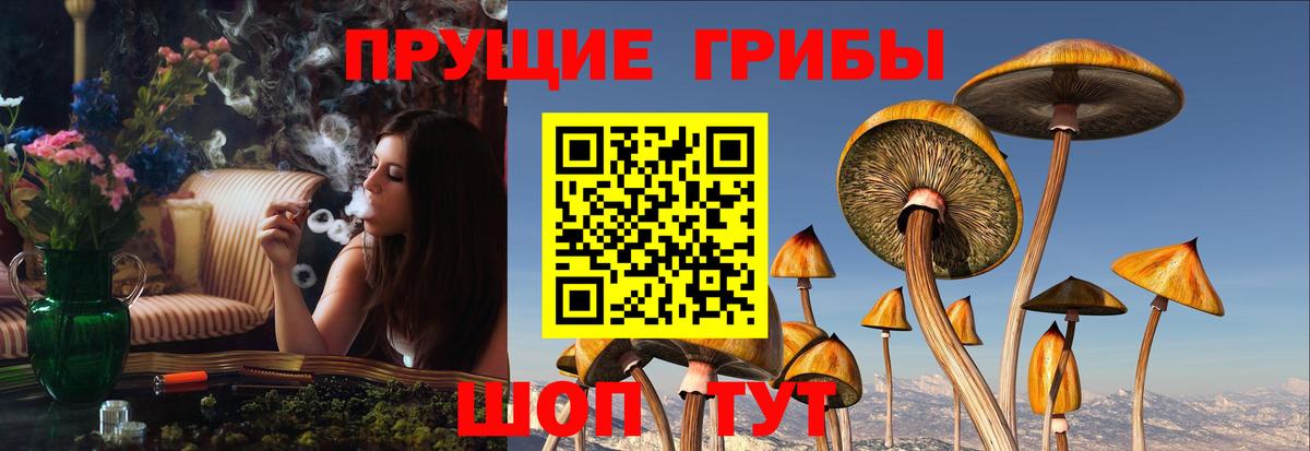 Галлюциногенные грибы мухоморы  Вход с VPN  Первоуральск 
